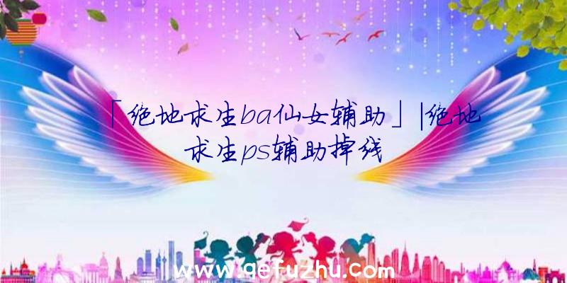 「绝地求生ba仙女辅助」|绝地求生ps辅助掉线